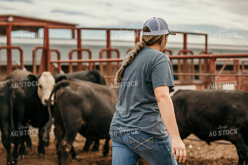 Farmer with Cattle 98024