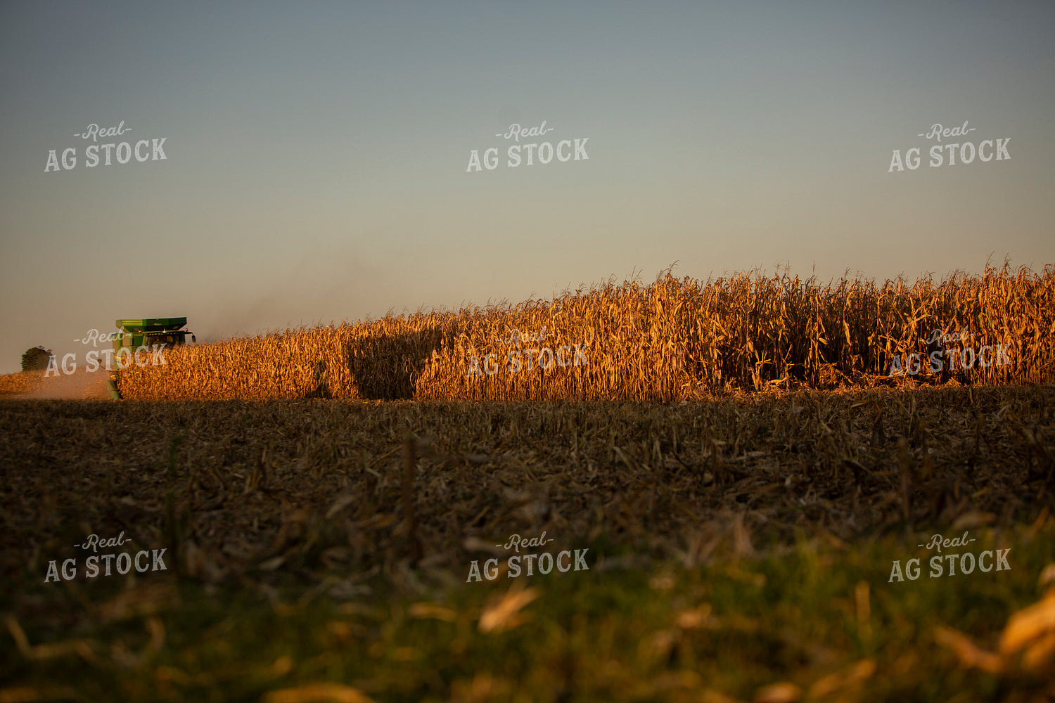 Harvest 2509
