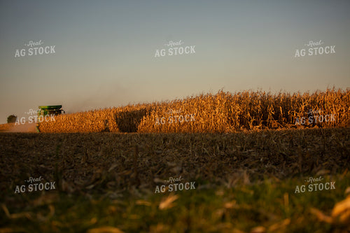 Harvest 2509