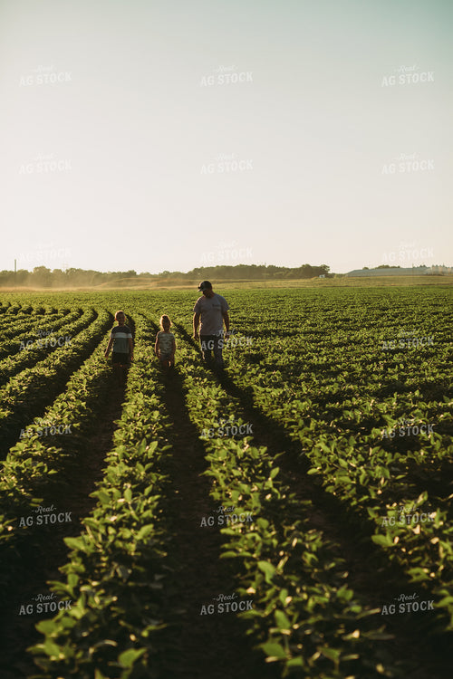Farm Family Walking in Soybeans 6069