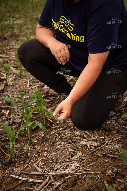Female Agronomist Scouting Field 67758