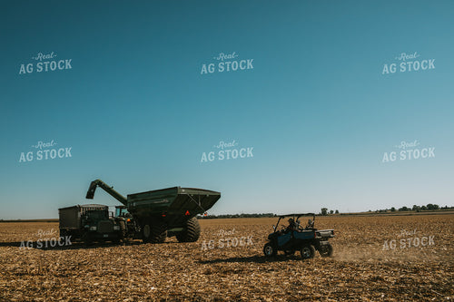 Farmer Driving Side by Side Corn Harvest 4680