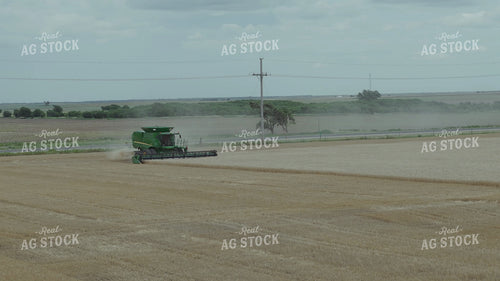Wheat Harvest 239332