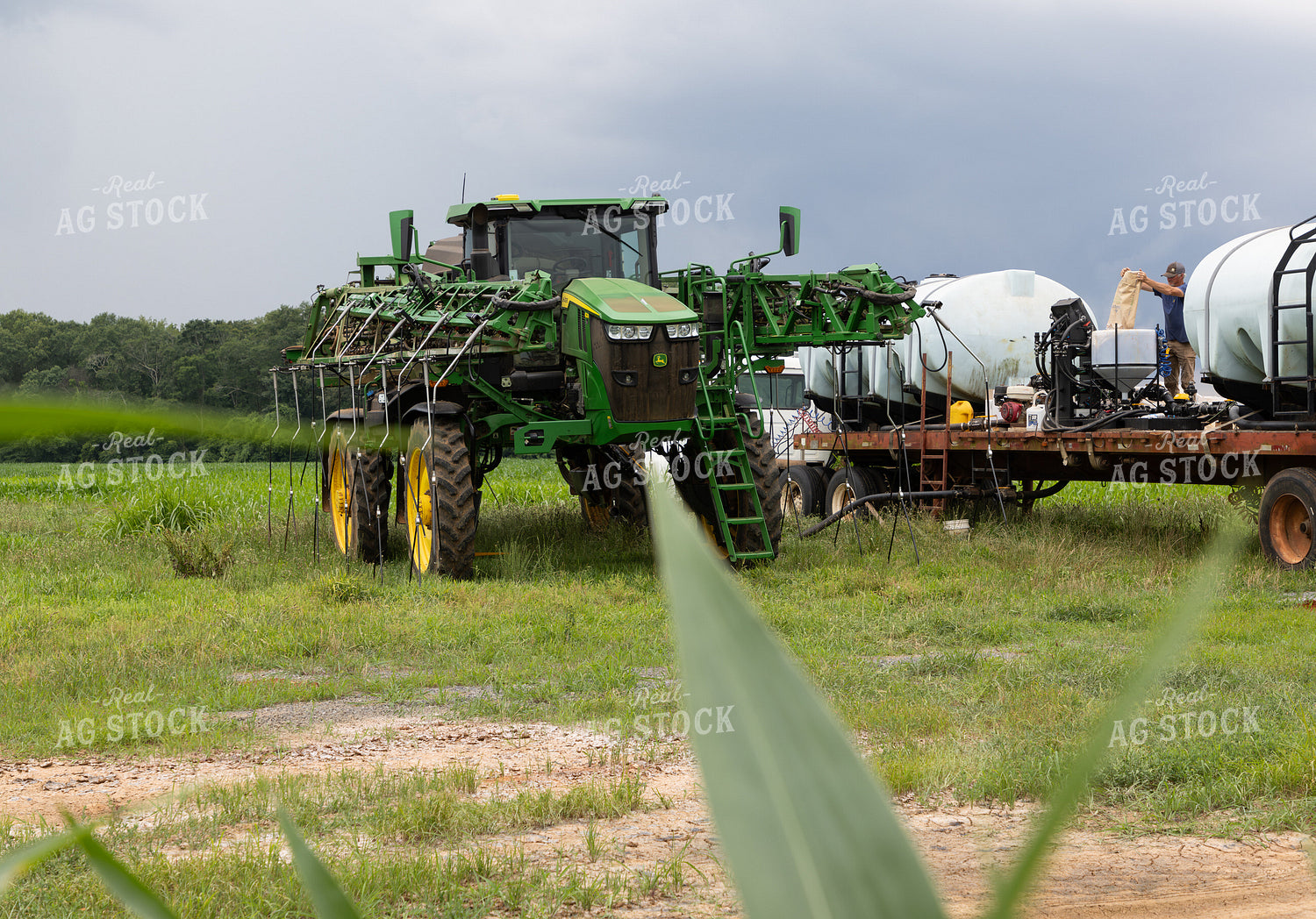 Filling Sprayer 79816