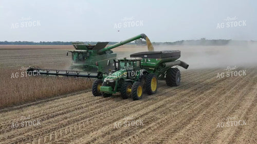 Soybean Harvest 79424