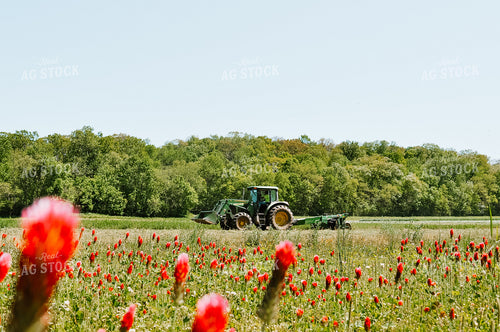 Cutting Hay 125027