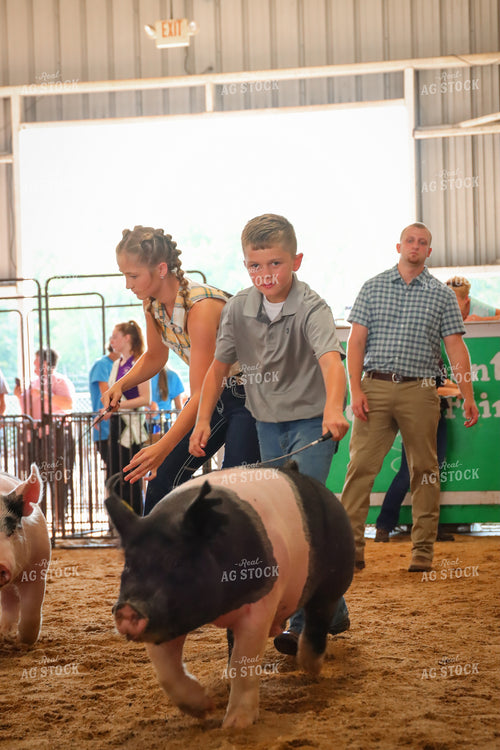 4H Kid Showing Pig 52202