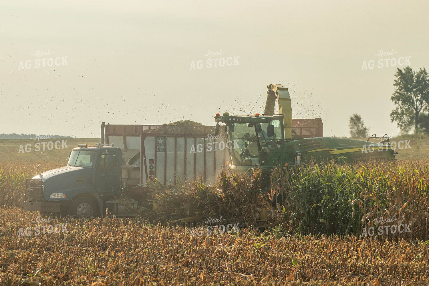 Silage Harvest 72094