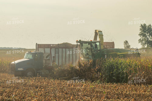 Silage Harvest 72094