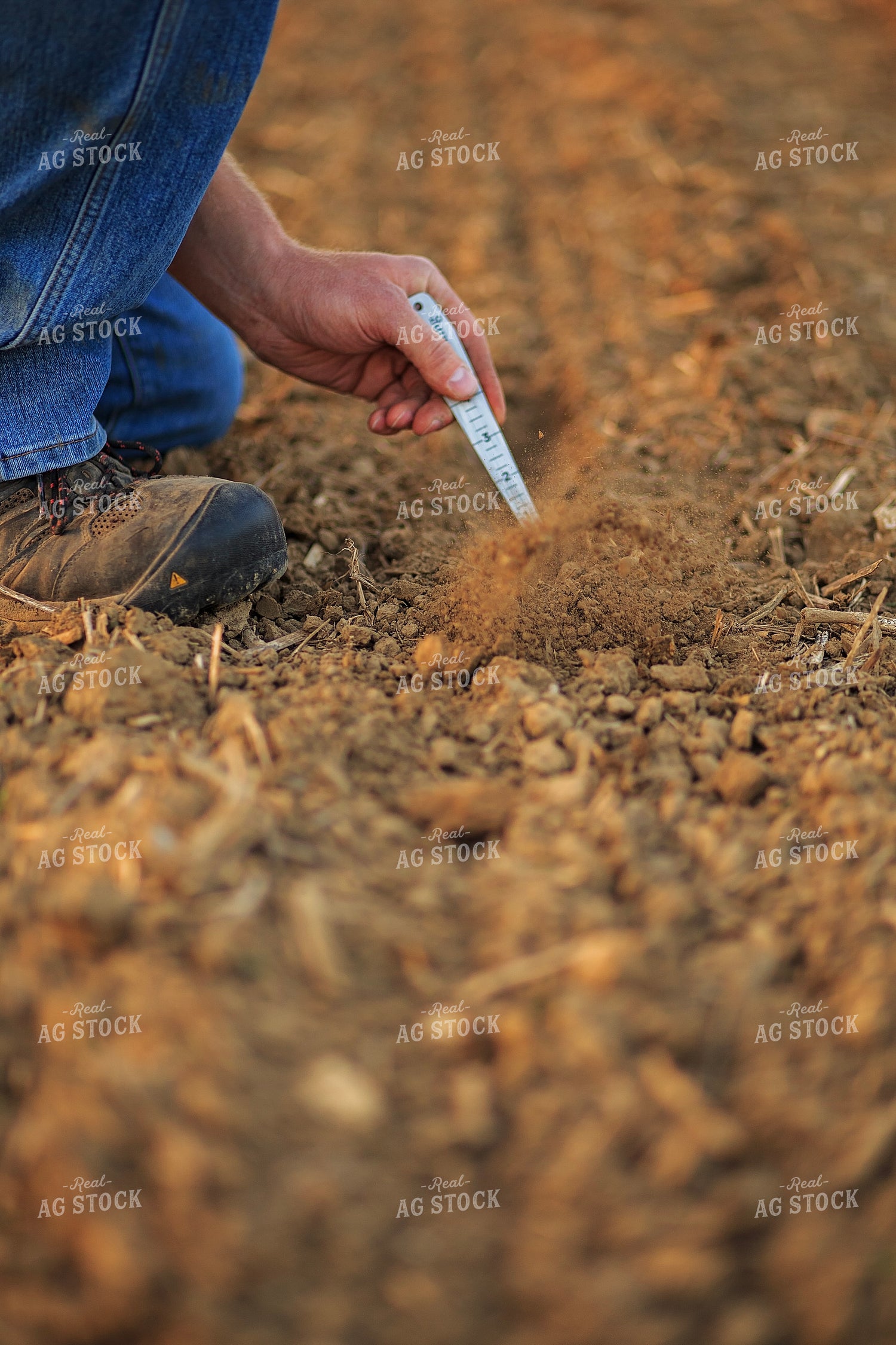 Farmer Checks Seed Depth After Planting 93206