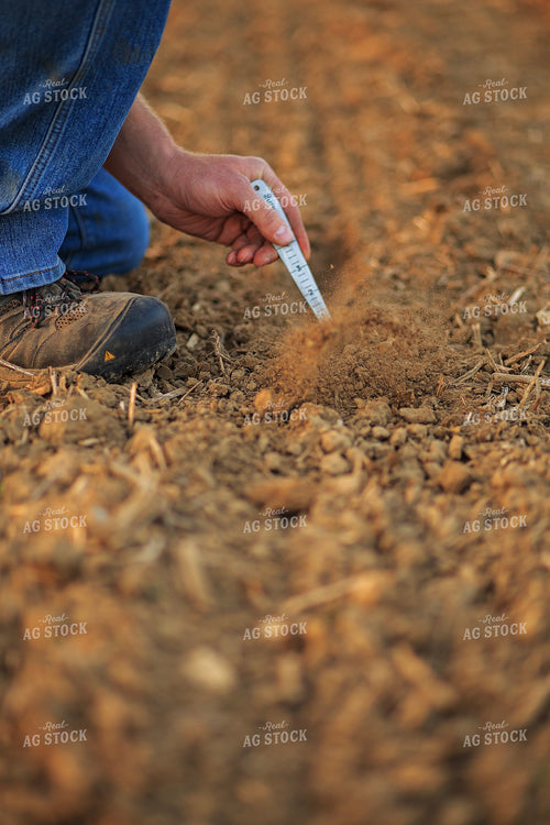 Farmer Checks Seed Depth After Planting 93206