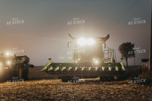 Corn Harvest 9504
