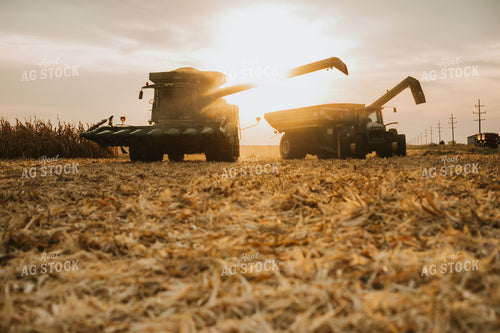 Combine and Auger Cart Harvesting Corn Field 5262