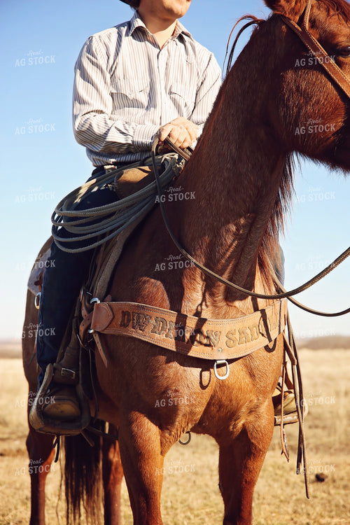 Rancher on Horseback 127071