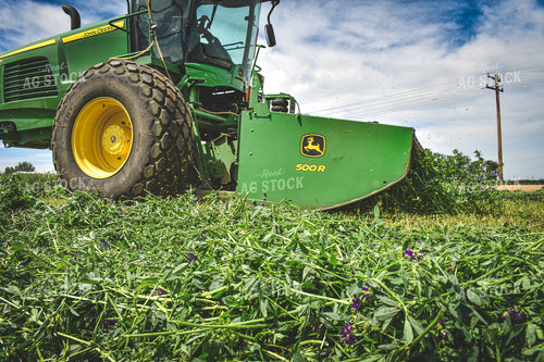 Alfalfa Cutting 56104