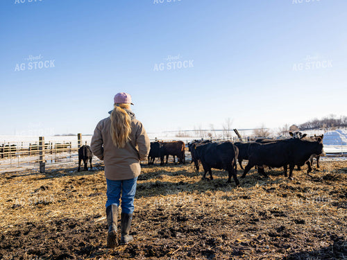 Rancher in Cattle Fence 70226