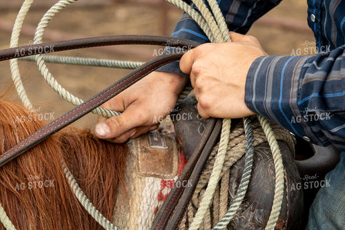Rancher Holding Rope 214174