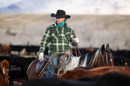 Rancher Herding Cattle on Horseback 219071