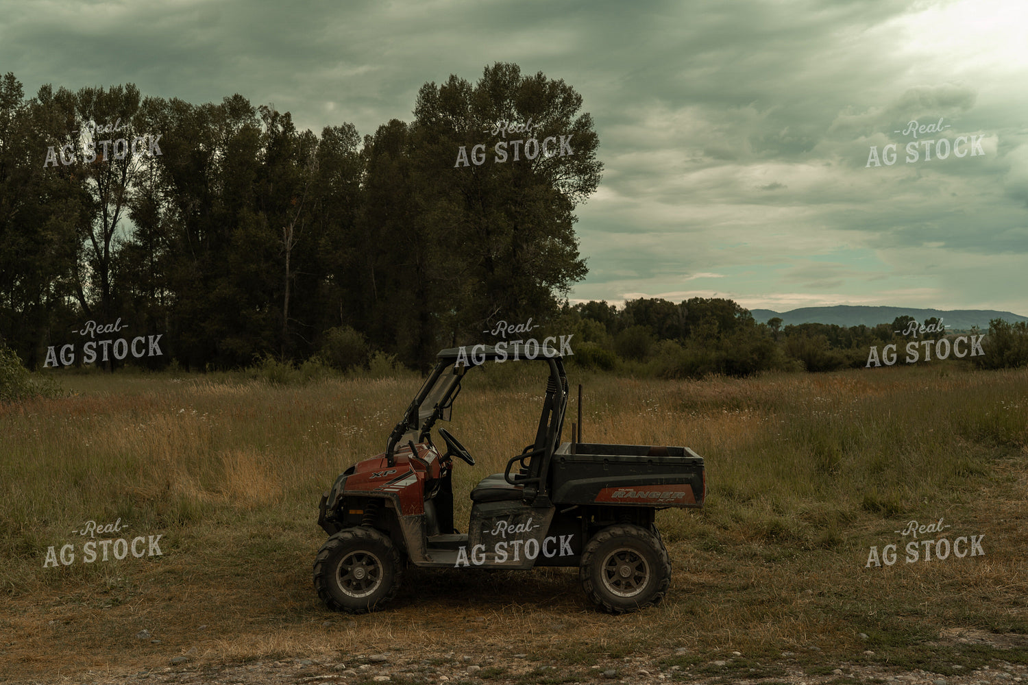 ATV in Pasture 58283