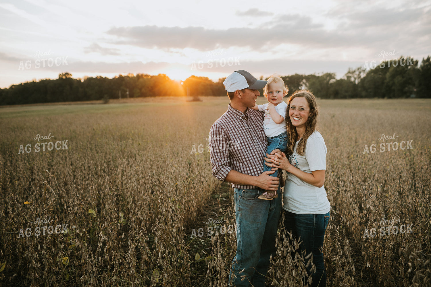 Farm Family Standing in Dried Soybean Field at Sunset 4970