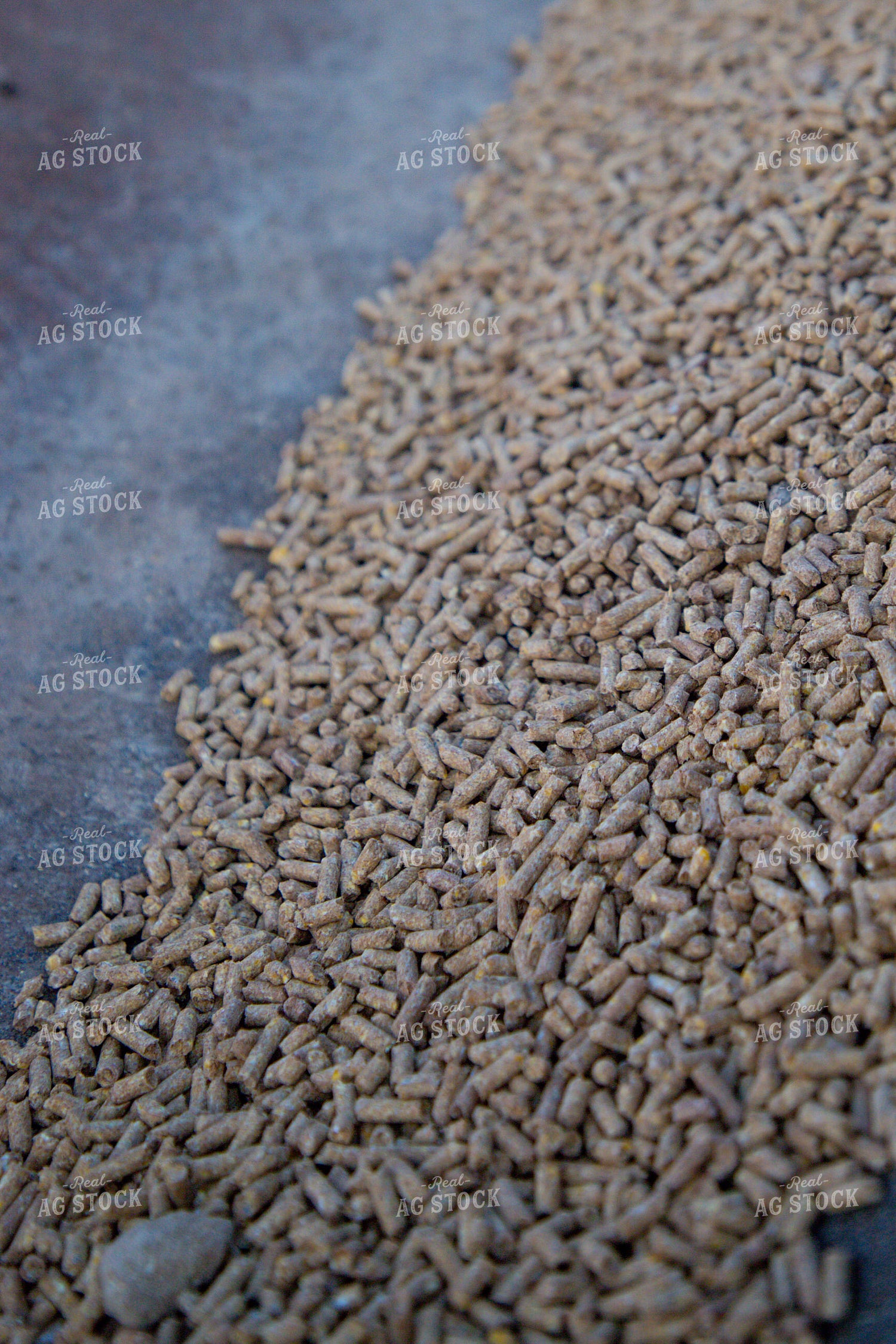 Feed Pellets in Feed Trough 208048