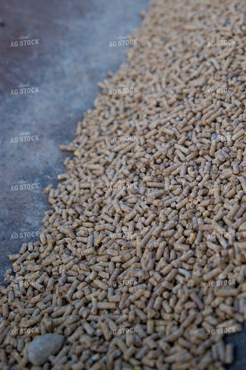 Feed Pellets in Feed Trough 208048