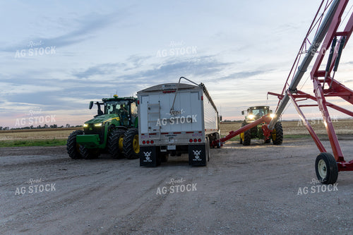 Unloading Grain at Bin Site 65524