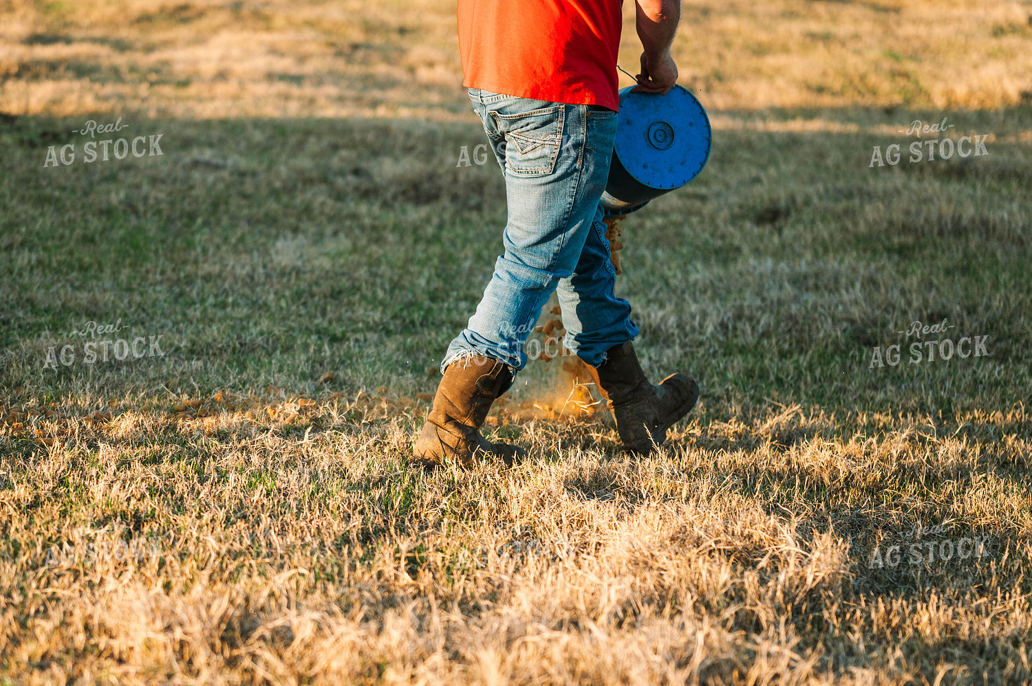 Farmer Pouring Pellets in Pasture 125233