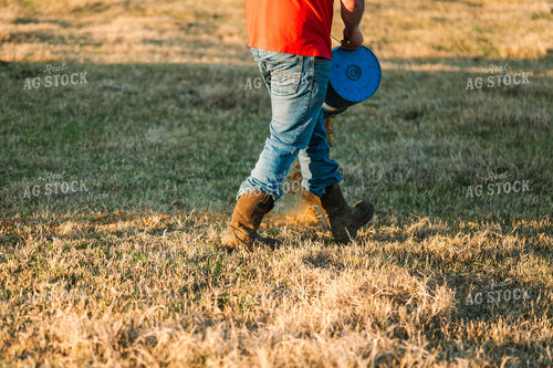 Farmer Pouring Pellets in Pasture 125233