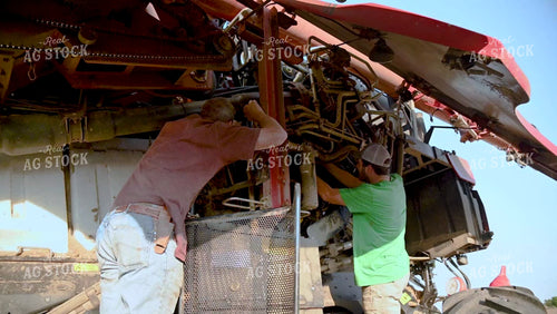 Multigenerational Farm Familiy Repairing Combine in a Bean Field - 424