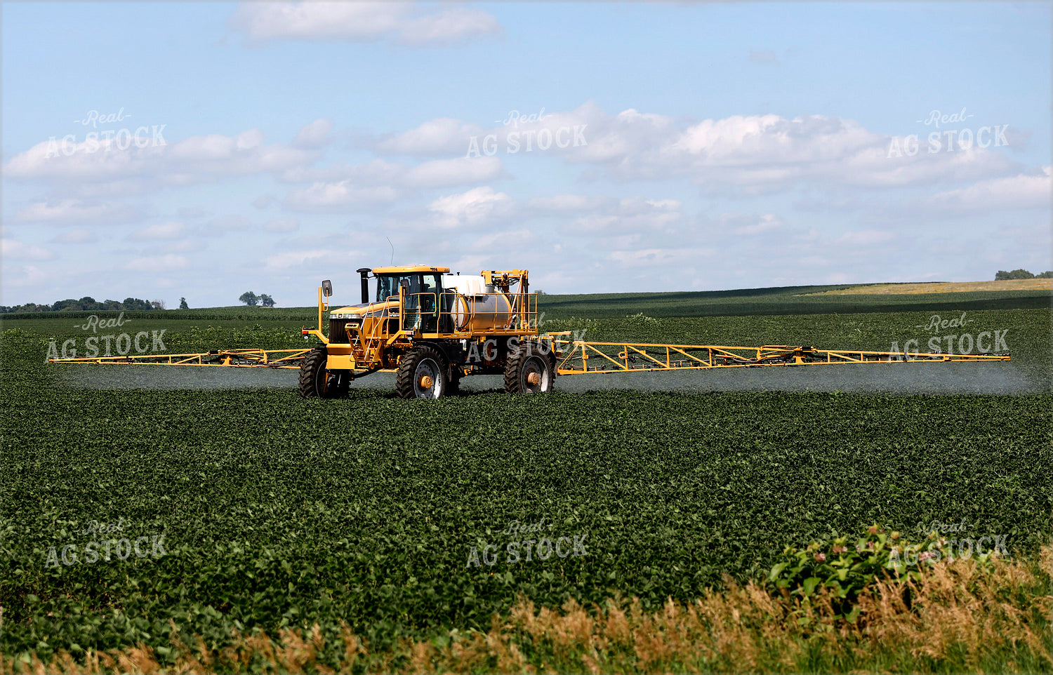 Spraying Soybean Field 141611