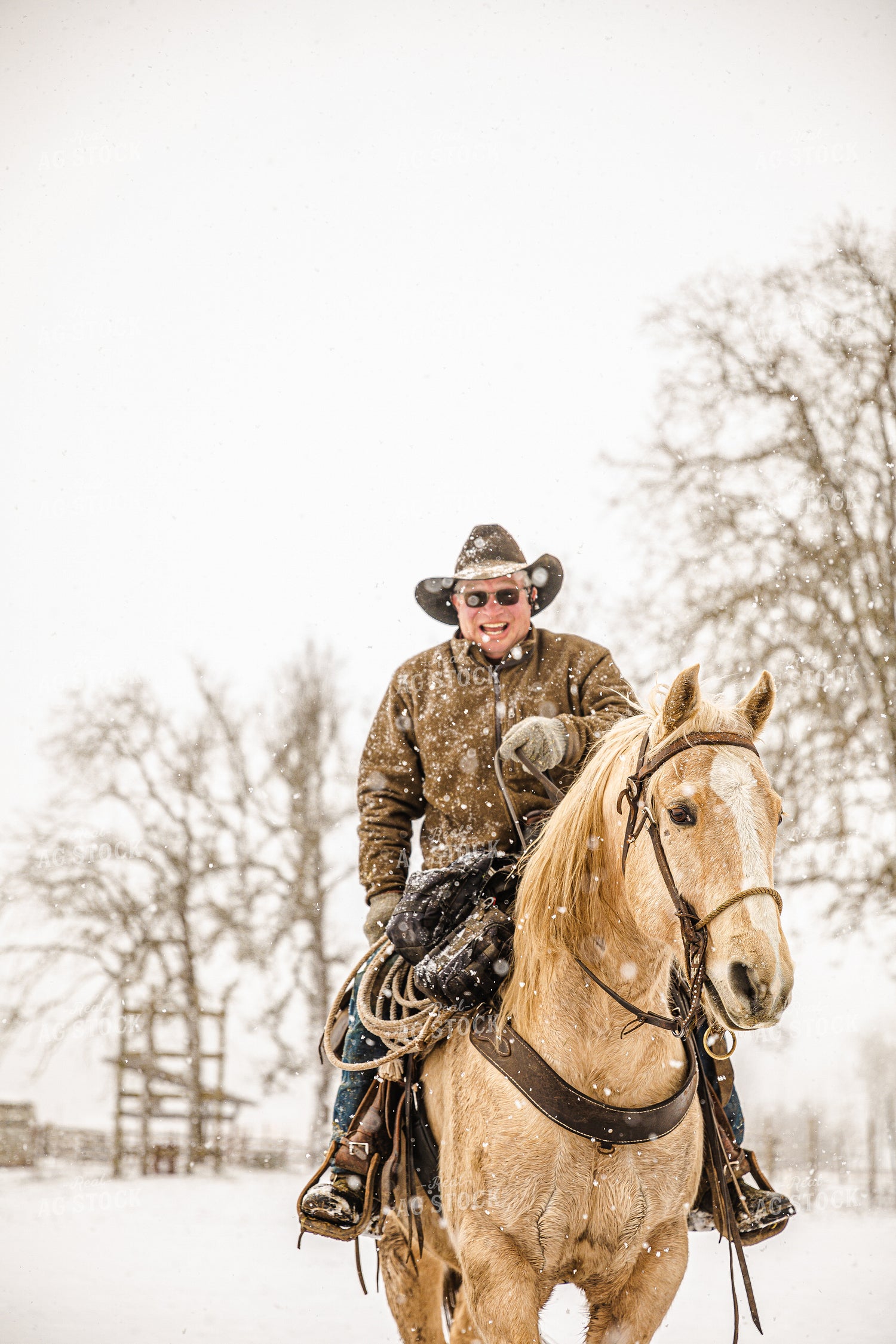 Horse Saddled in Snow 66040