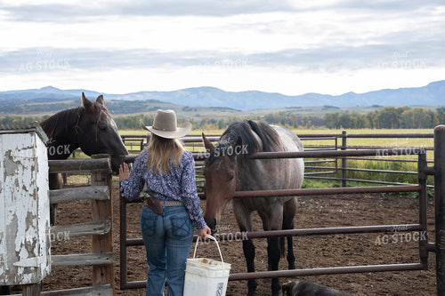 Female Rancher Feeding Horses 117096