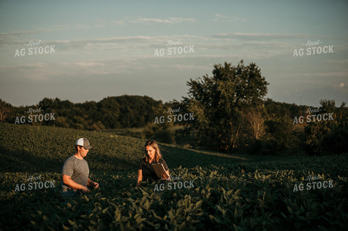Farmer with Agronomist in Soybean Field 3183