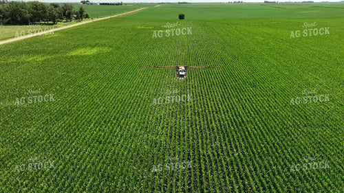 Spraying Corn 274056