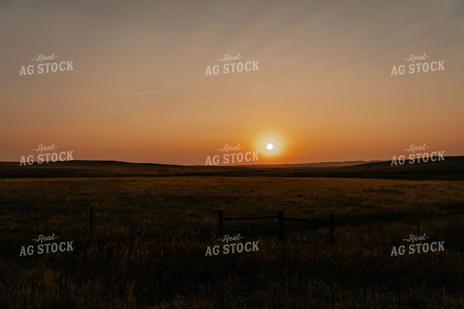 Rural Landscape at Sunset 58192