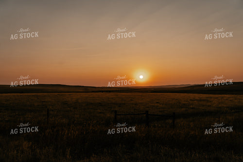 Rural Landscape at Sunset 58192