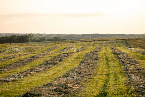 Scenic Hay Field 214243
