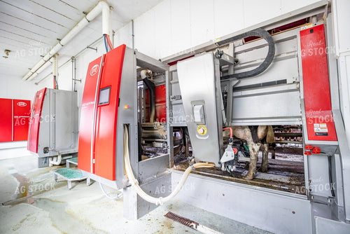 Robotic Milking Unit in Use 270138