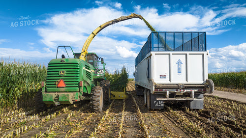 Silage Harvest 56535