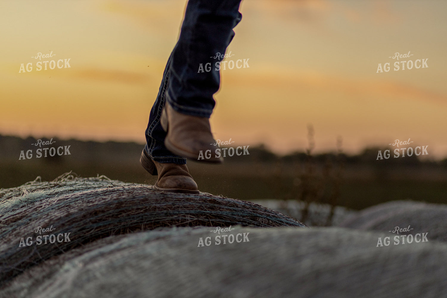 Farm Kids on Hay Bales 93375