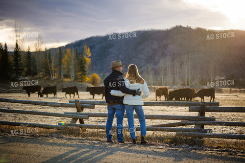 Farm Couple Look Out on Cattle 219101