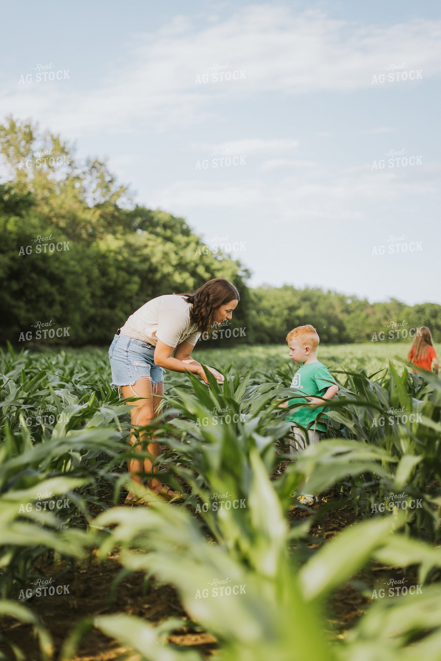 Farm Family Checking Corn 8736