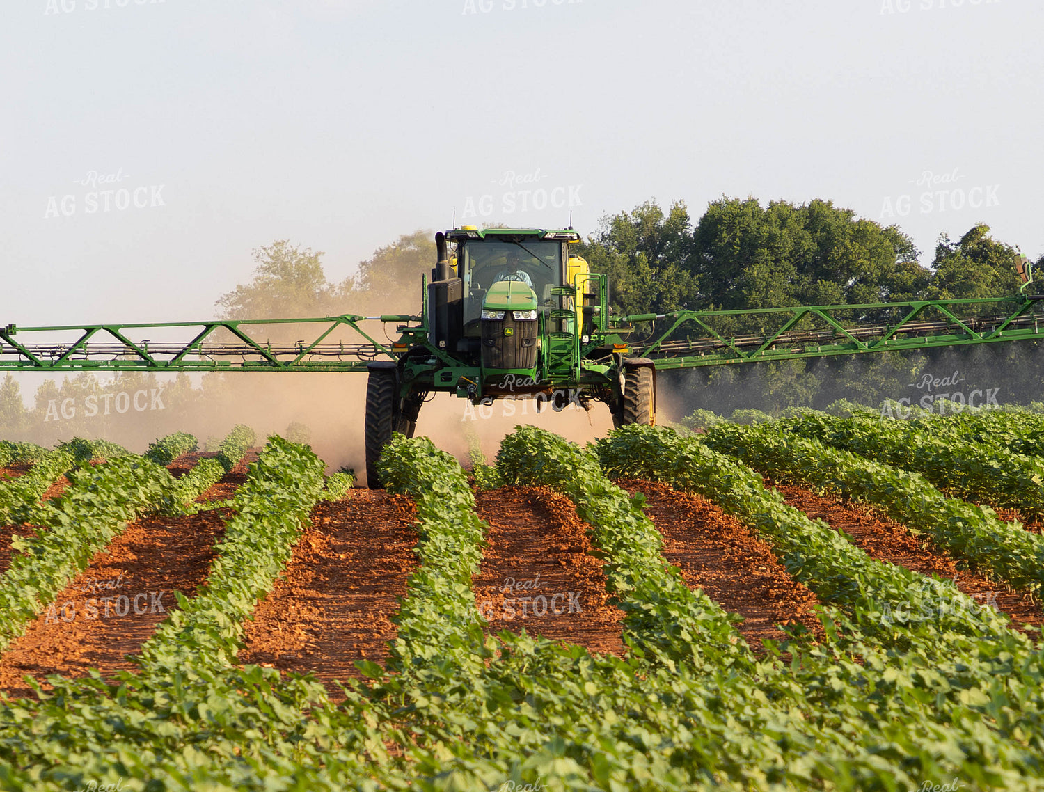 Spraying 79667