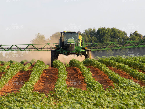 Spraying 79667
