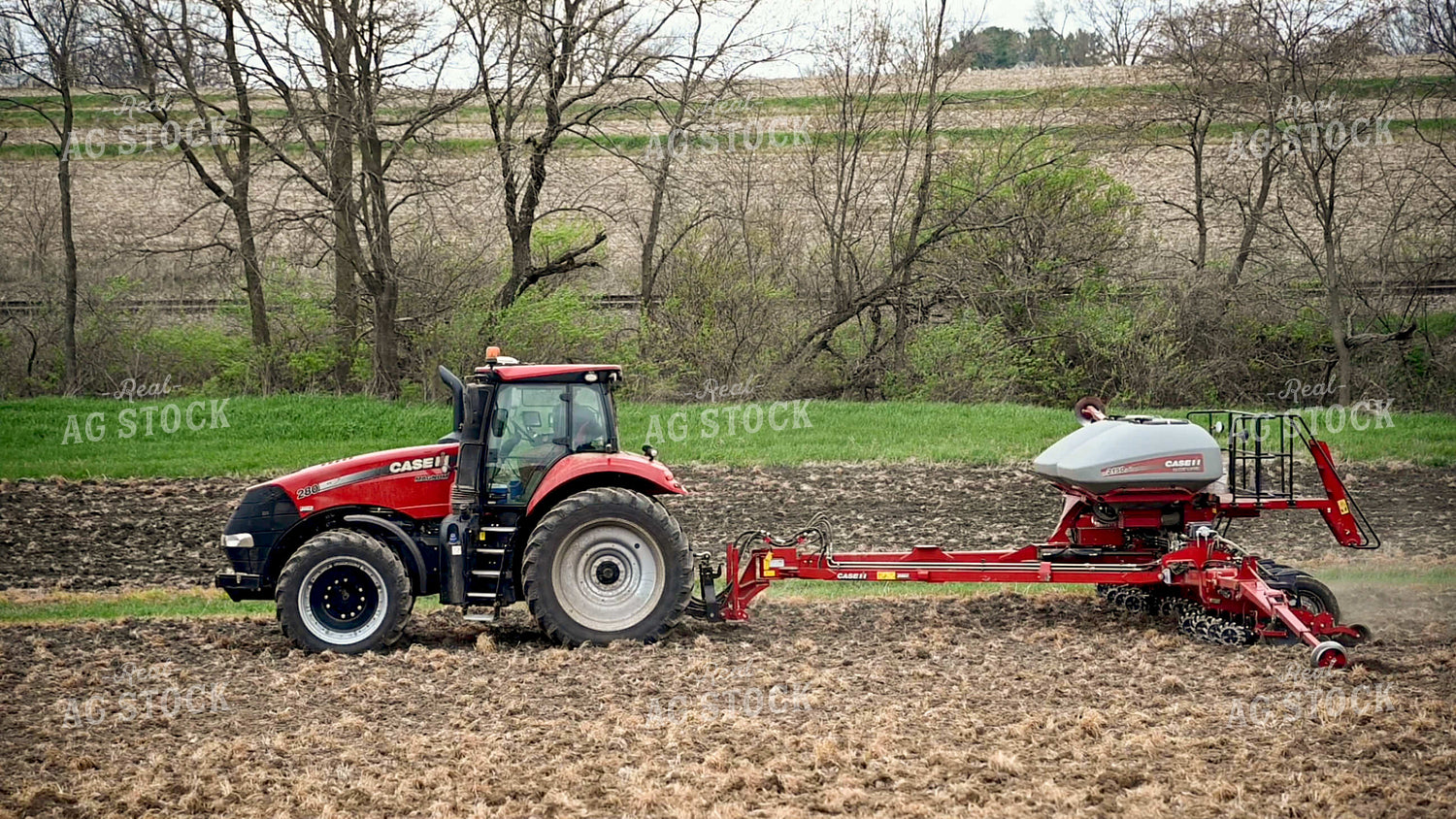 Planting into Tilled Cover Crops 25163