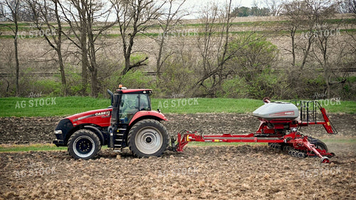 Planting into Tilled Cover Crops 25163