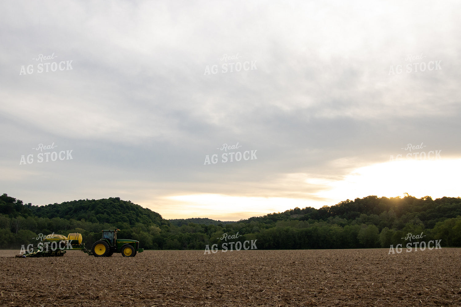Planting on Sunny Day 52131