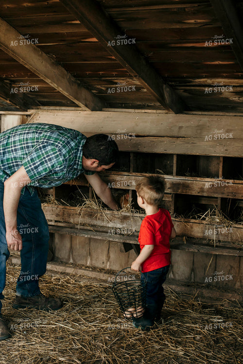 Farmer 2898