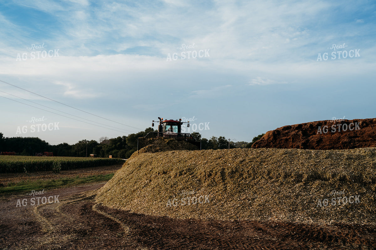 Packing Silage Pile 196364